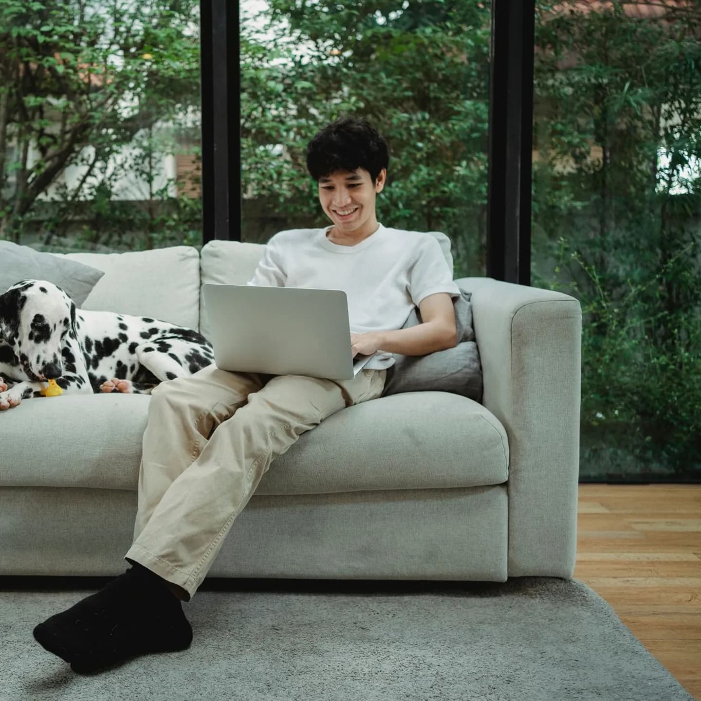 Person on a sofa working on a laptop, with a Dalmatian beside them