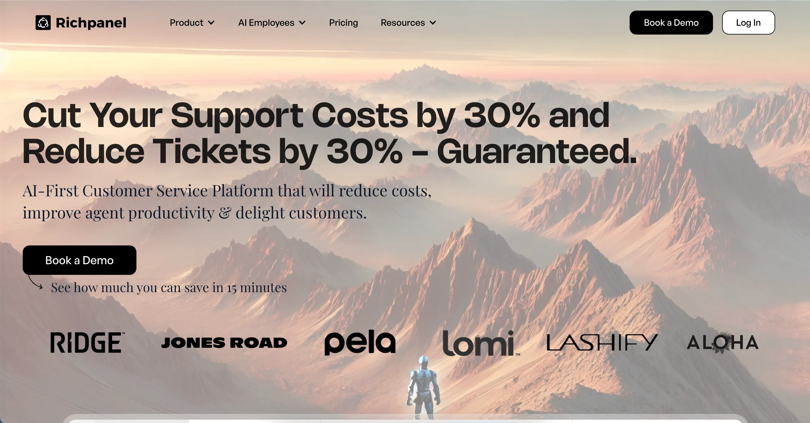 Richpanel website homepage hero section