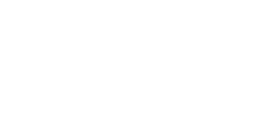 FINN