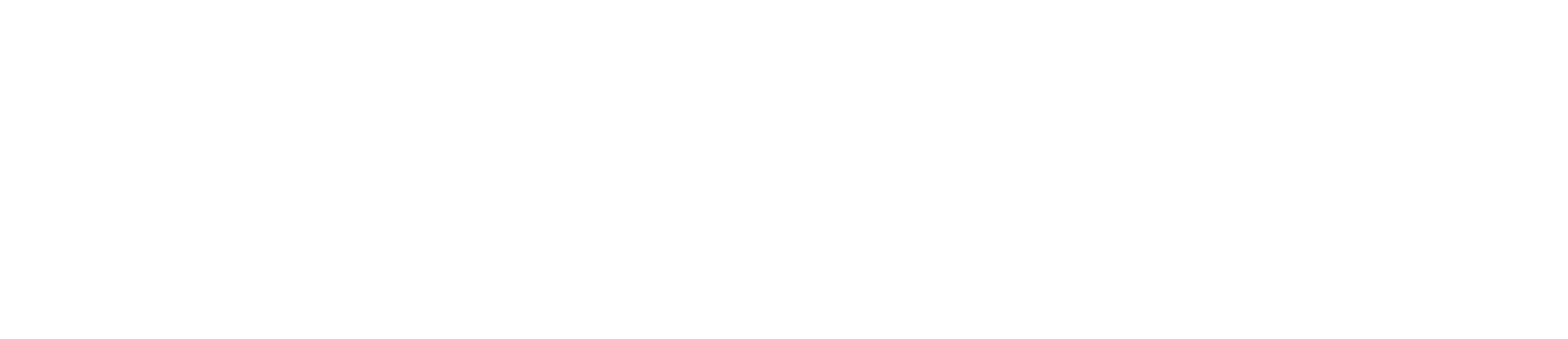 Petlibro